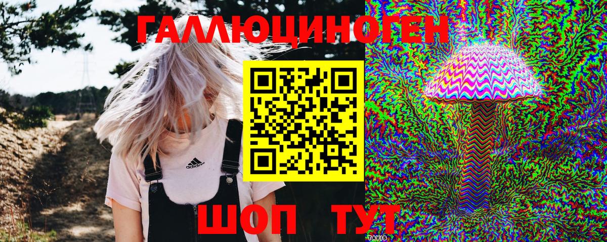 Псилоцибиновые грибы Cubensis  Вход с VPN  Тара 