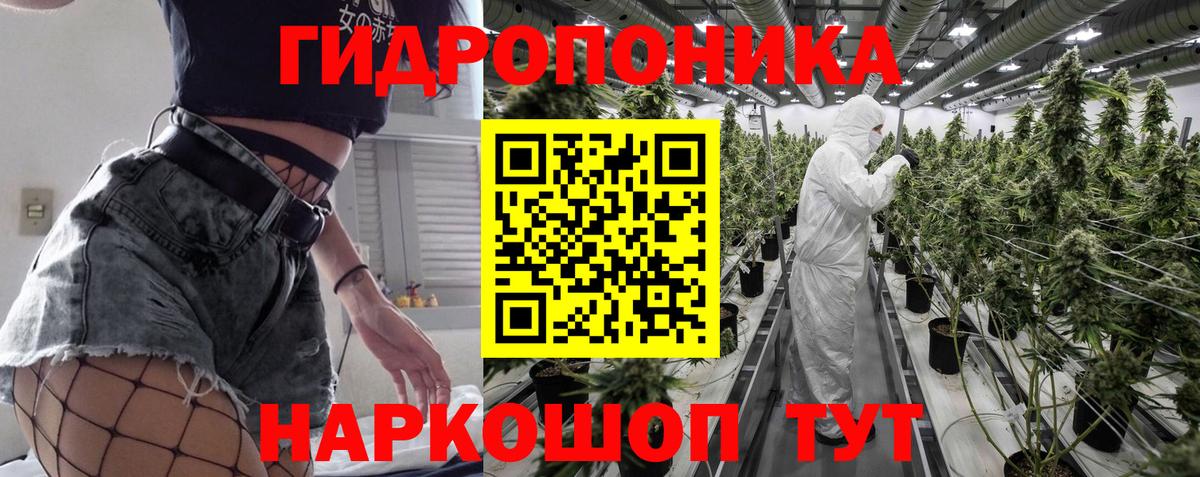 Конопля THC 21%  Каннабис план  Марихуана Bruce Banner  Тара  Вход с VPN 